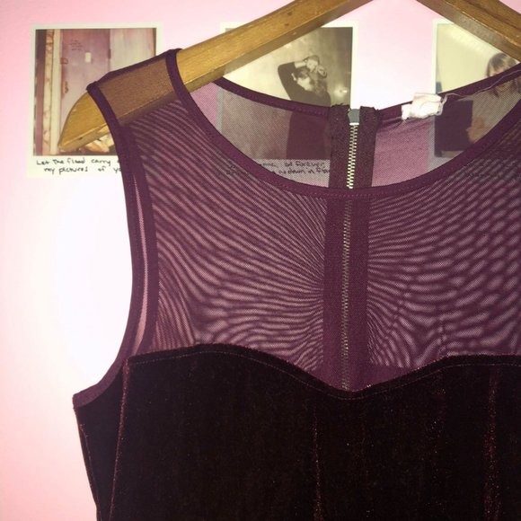 Maroon Sheer and Velvet Dress - Picture 3 of 4